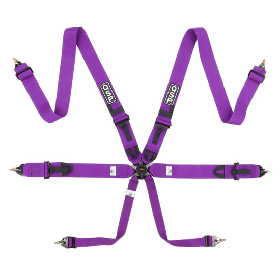 QSP 6-punts gordel Pro Plus FIA - Paars