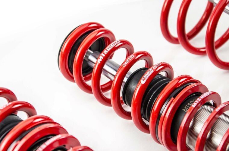 Coilover Stance BMW 5 (E39)