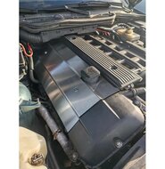 BMW M52 M54 Roestvrijstalen RVS Bobine / Kleppendeksel Afdekking Sier kap (Coil Pack Cover)