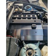 BMW M52 M54 Roestvrijstalen RVS Bobine / Kleppendeksel Afdekking Sier kap (Coil Pack Cover)