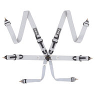 QSP 6-punts gordel Pro Plus FIA - Grijs