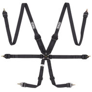 QSP 6-punts gordel FHR Endurance FIA - Zwart