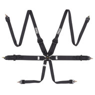 QSP 6-punts gordel FHR Touring FIA - Zwart