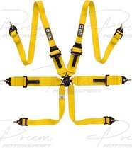 QSP 6-punts gordel FHR Touring FIA - Geel