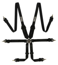 QSP 6-punts gordel FHR Endurance FIA - Zwart