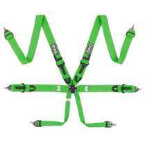 QSP 6-punts gordel Pro Plus FIA - Groen