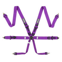 QSP 6-punts gordel Pro Plus FIA - Paars
