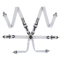 QSP 6-punts gordel Pro Plus FIA - Grijs