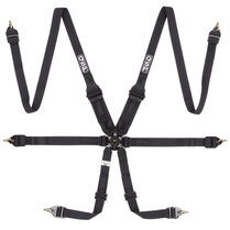 QSP 6-punts gordel FHR Endurance FIA - Zwart