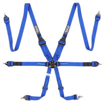 QSP 6-punts gordel FHR Endurance FIA - Blauw