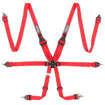 QSP 6-punts gordel FHR Endurance FIA - Rood