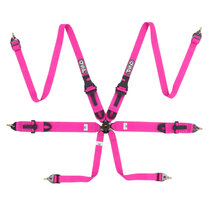 QSP 6-punts gordel FHR Touring FIA - Pink